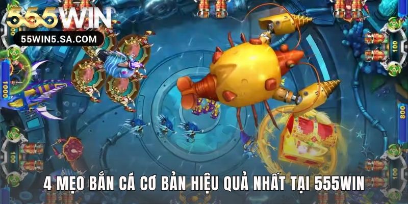 Mẹo bắn cá nền tảng quyết định bạn là người đi săn hay bị săn