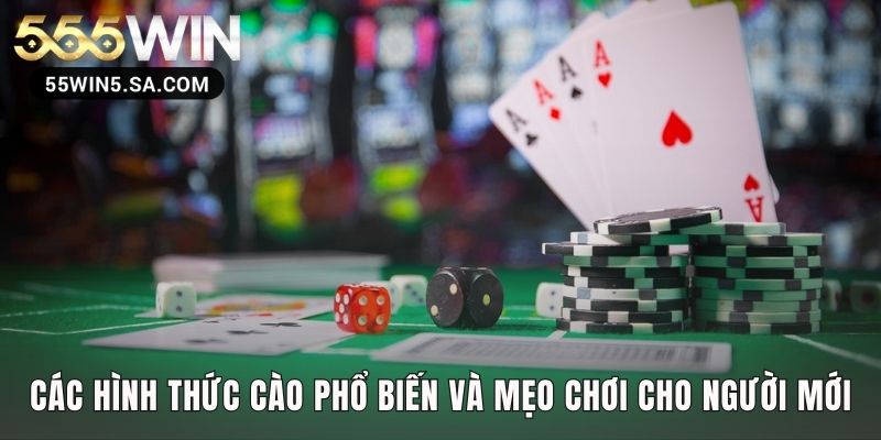 Mẹo cách chơi bài cào giúp người mới quản lý vốn và tâm lý