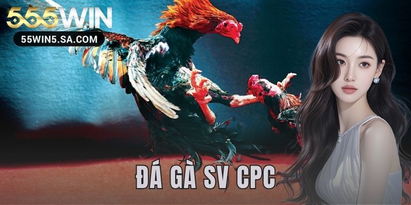 đá gà sv CPC