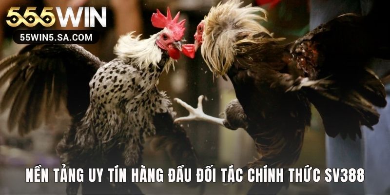 Xem miễn phí đá gà sv CPC trên mọi thiết bị