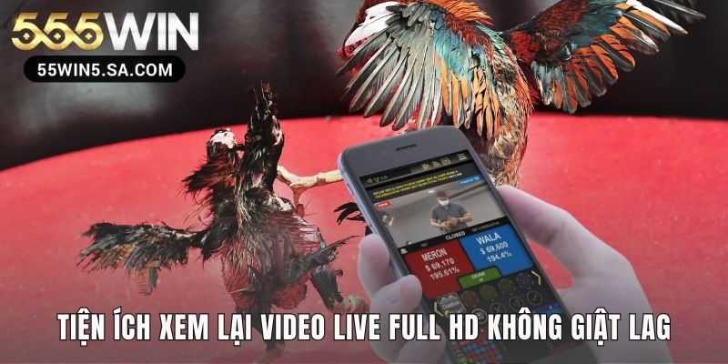 Xem lại video Full HD để phân tích kỹ từng đòn đá