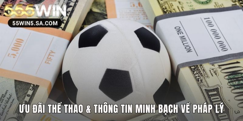 Môi trường cá cược thể thao an toàn cùng nhiều ưu đãi hấp dẫn